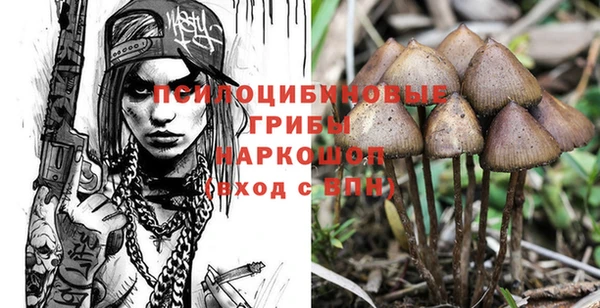наркотики Ладушкин