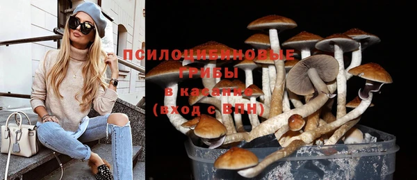 соль ск Лабытнанги