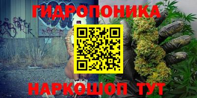 эйфоретик Будённовск