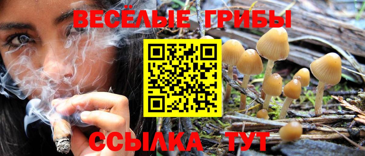 Галлюциногенные грибы GOLDEN TEACHER  Вход с VPN  Екатеринбург 